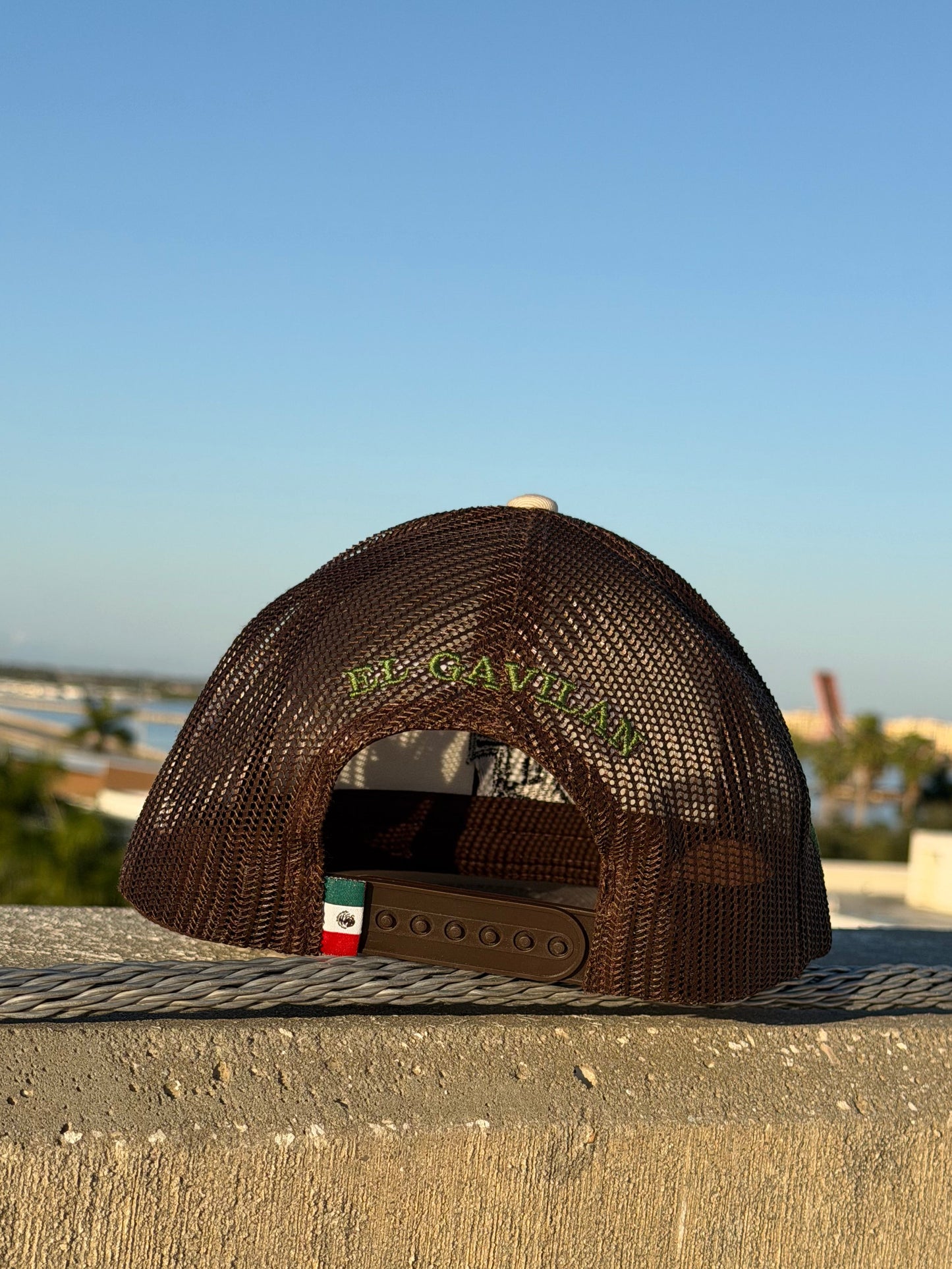 Gavilan-MEX