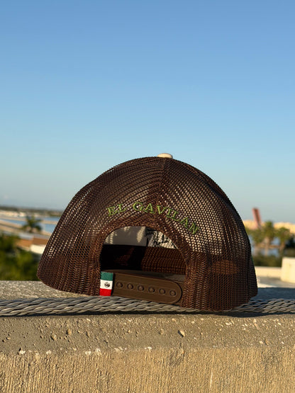 Gavilan-MEX