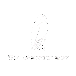 El Gavilan 