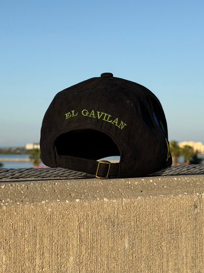 El gavilan