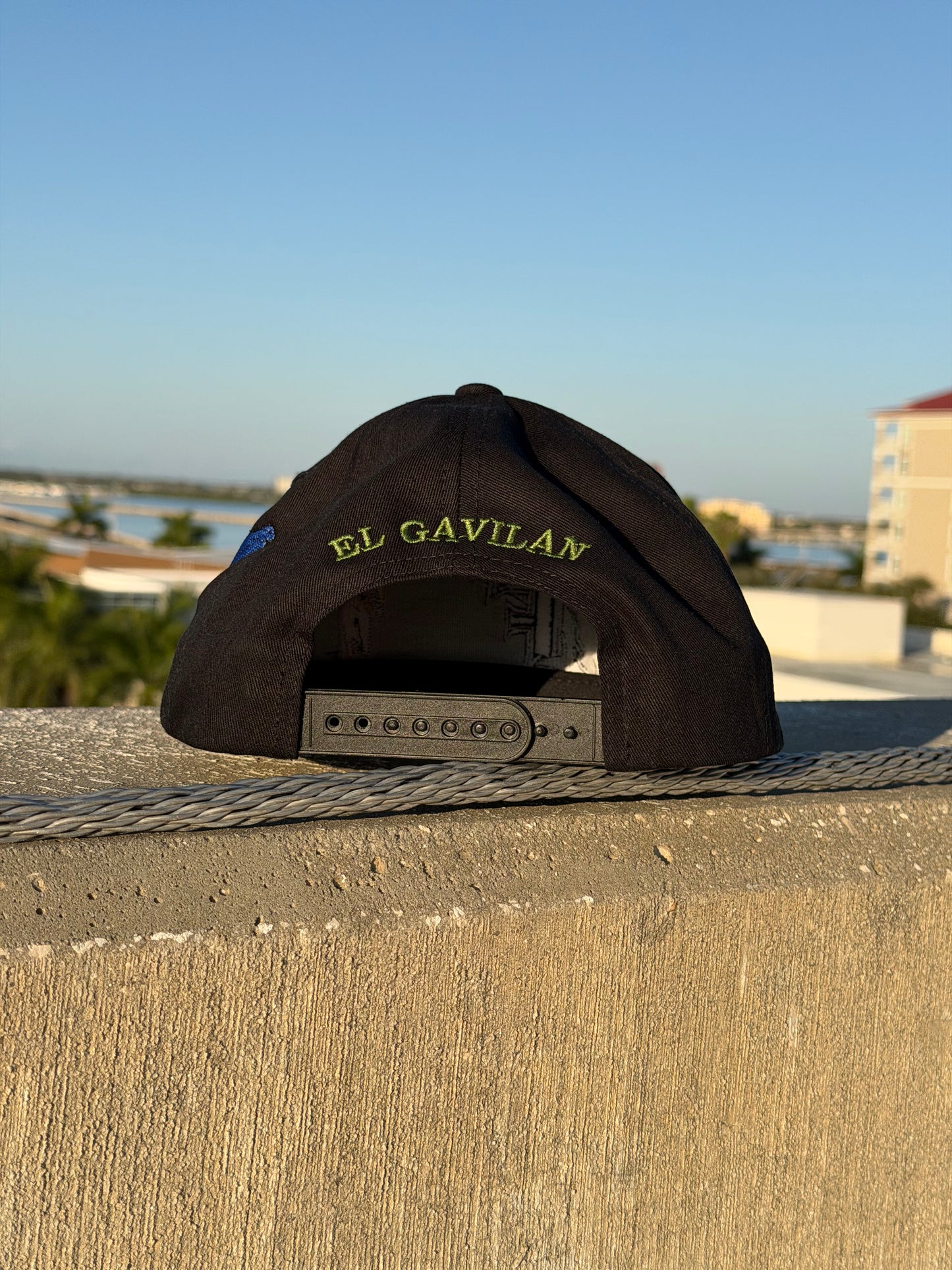El gavilan